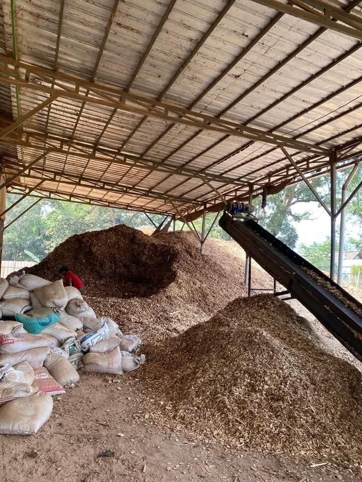 facebook 1755448571027 7362884963256240478