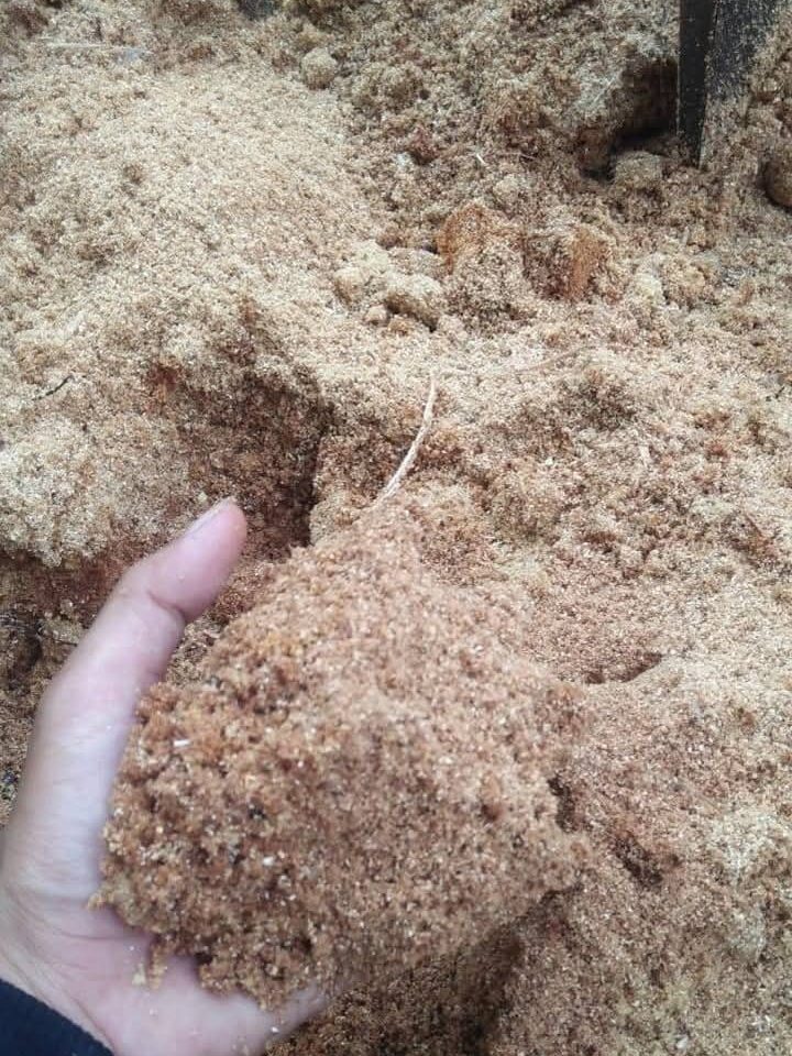 sawdust biomassa